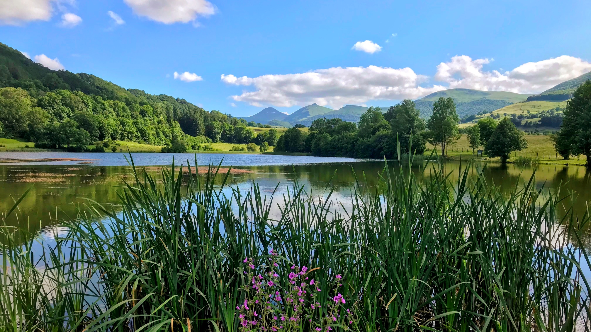 tranquillité et d'harmonie